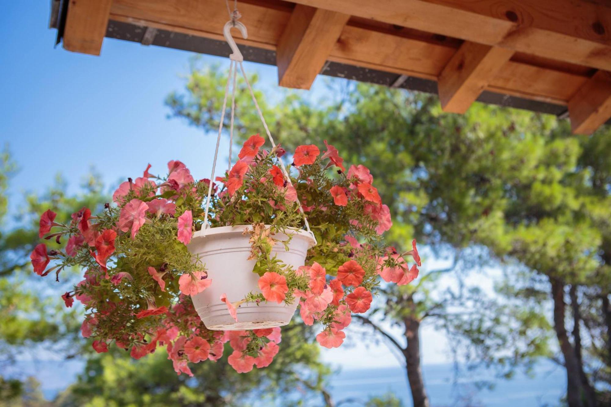 Pavao Apartments Vrboska Zimmer foto